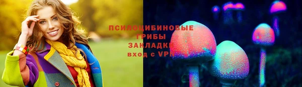 spice Гусиноозёрск