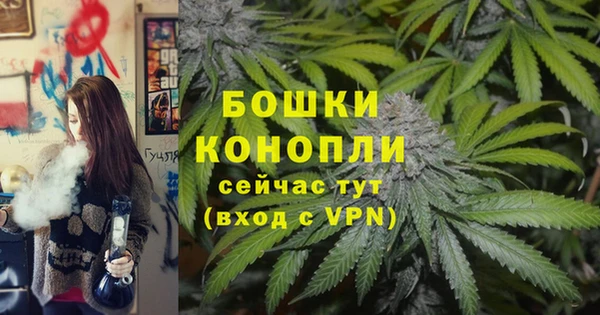 МДПВ Гусь-Хрустальный