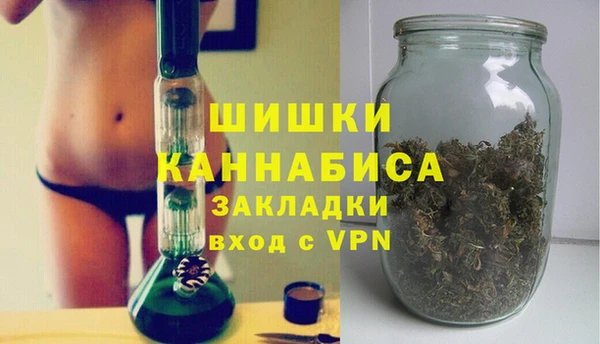 spice Гусиноозёрск