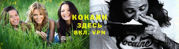 гашиш Гусев